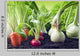 Vegetables Garden Wall Decal