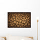 Dried Terrain Wall Decal