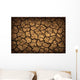 Dried Terrain Wall Decal