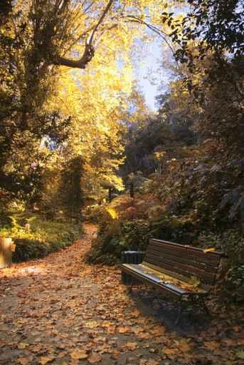 Autumn Wall Decal