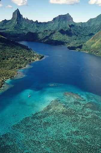 Moorea Lagoon Wall Decal