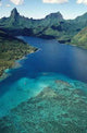 Moorea Lagoon Wall Decal