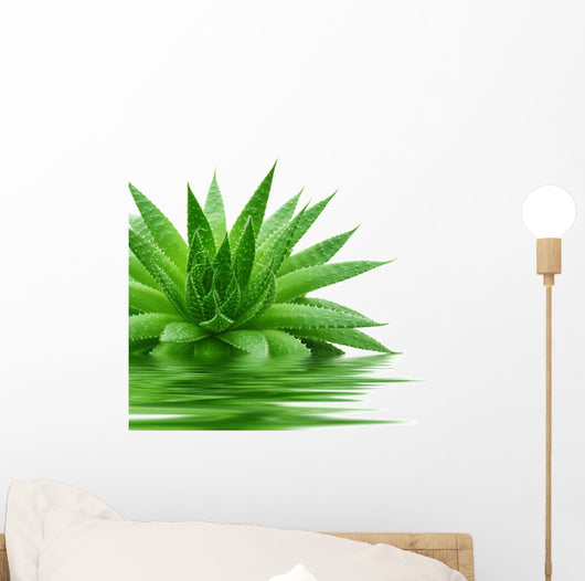 Aloe Wall Decal