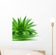 Aloe Wall Decal