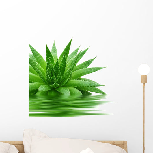 Aloe Wall Decal