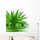 Aloe Wall Decal