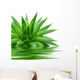 Aloe Wall Decal