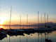 Porto Di Lazise Wall Decal