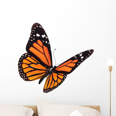 Digital Render Monarch Butterfly Wall Decal shown on a wall