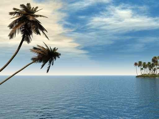 Palm Island Wall Decal