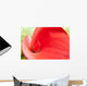 Red Calla Lily Closeup Wall Decal