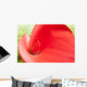 Red Calla Lily Closeup Wall Decal