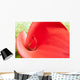 Red Calla Lily Closeup Wall Decal
