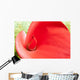Red Calla Lily Closeup Wall Decal