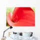Red Calla Lily Closeup Wall Decal