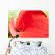 Red Calla Lily Closeup Wall Decal
