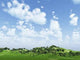 Green Hills Wall Decal