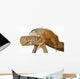 Asleep Lizards Wall Decal