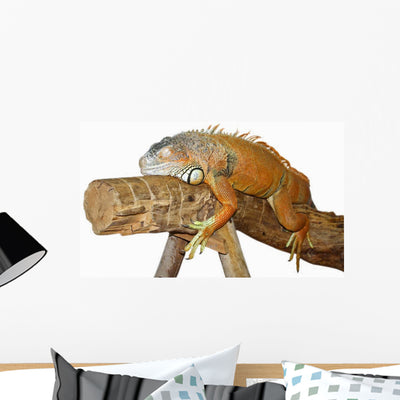 Asleep Lizards Wall Decal shown on a wall