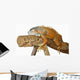 Asleep Lizards Wall Decal