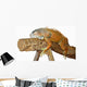 Asleep Lizards Wall Decal