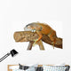 Asleep Lizards Wall Decal