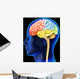 Human Brain Wall Decal