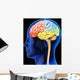 Human Brain Wall Decal