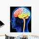 Human Brain Wall Decal