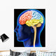 Human Brain Wall Decal