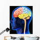 Human Brain Wall Decal