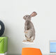 Gray Rabbit Wall Decal