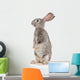 Gray Rabbit Wall Decal