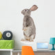 Gray Rabbit Wall Decal