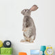 Gray Rabbit Wall Decal