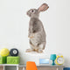 Gray Rabbit Wall Decal