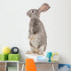 Gray Rabbit Wall Decal