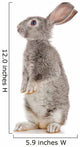 Gray Rabbit Wall Decal