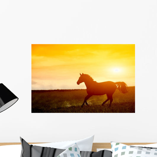 Horse Sunset Wall Decal
