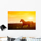 Horse Sunset Wall Decal