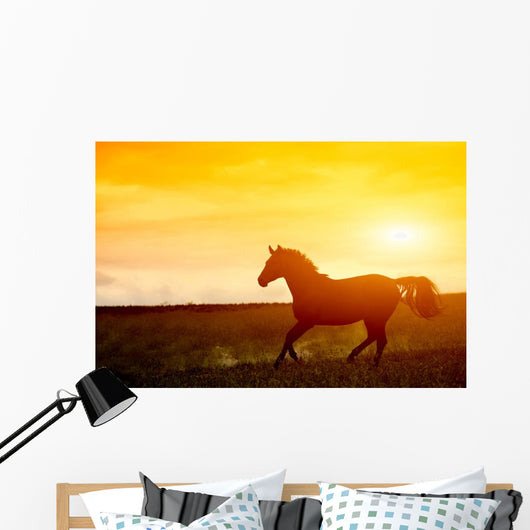 Horse Sunset Wall Decal