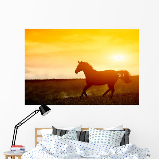 Horse Sunset Wall Decal