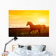 Horse Sunset Wall Decal
