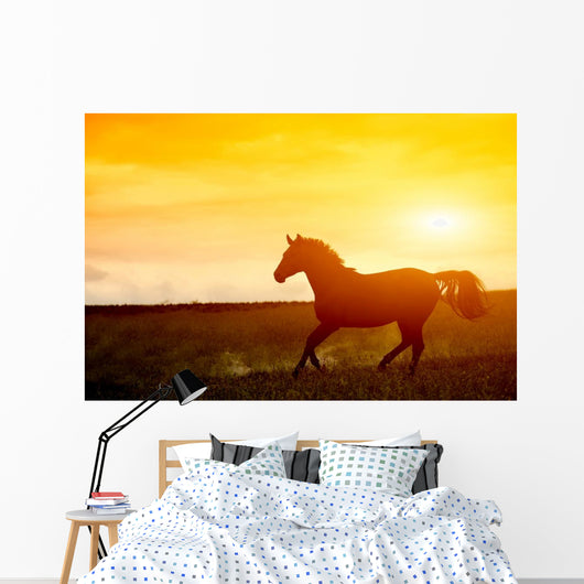 Horse Sunset Wall Decal