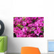 Bougainvillea X Buttiana Wall Decal