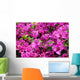 Bougainvillea X Buttiana Wall Decal