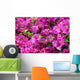 Bougainvillea X Buttiana Wall Decal