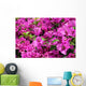 Bougainvillea X Buttiana Wall Decal