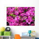 Bougainvillea X Buttiana Wall Decal