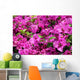 Bougainvillea X Buttiana Wall Decal